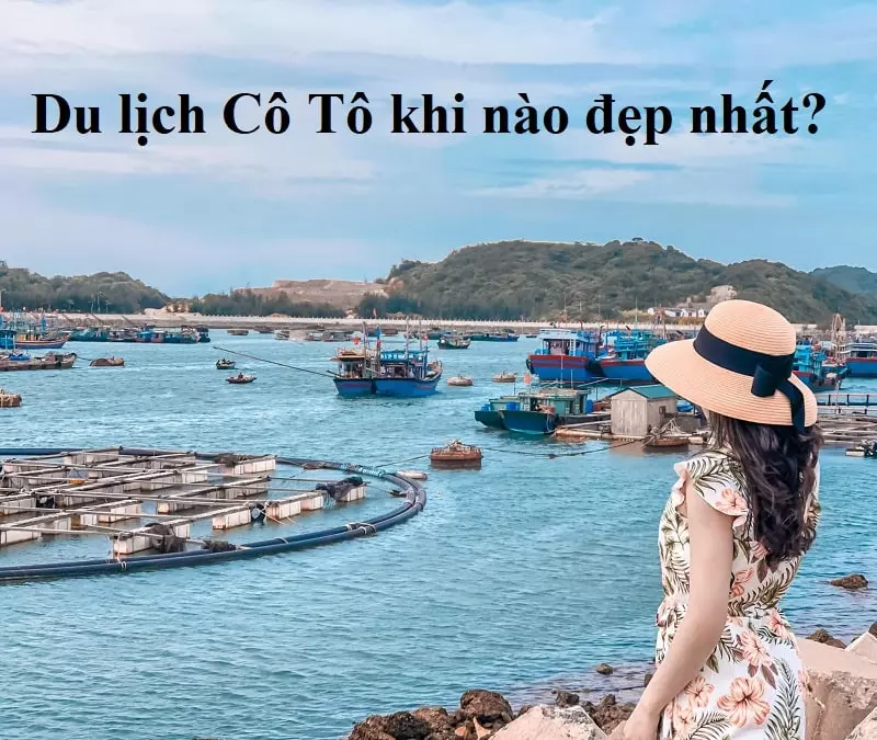 Nên ở khách sạn nào khi du lịch Cô Tô? Giá phòng khách sạn, nhà nghỉ ở đảo Cô Tô