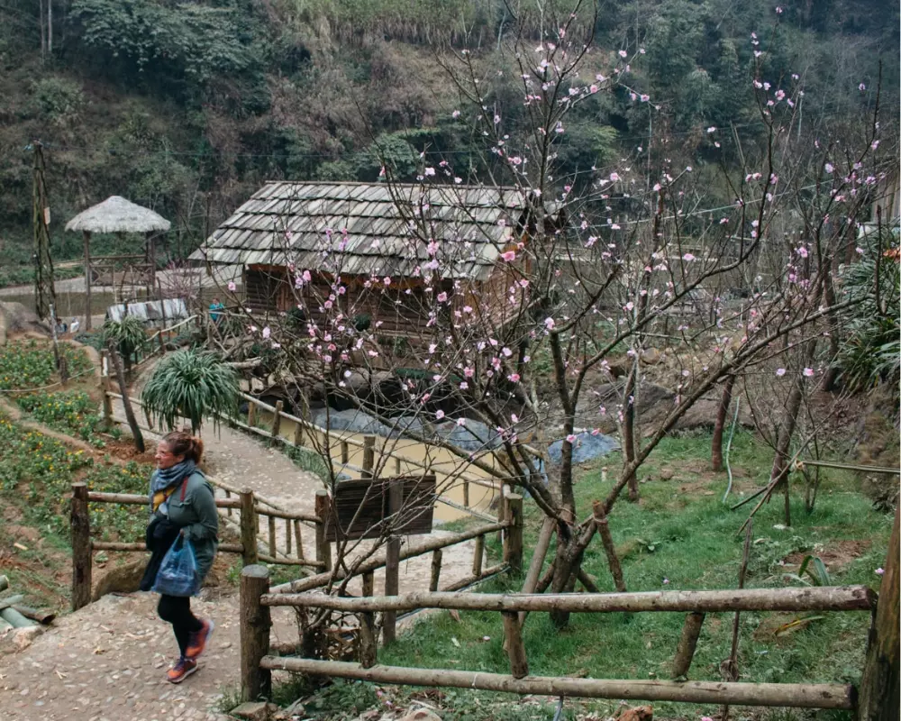 Sapa Trekking Tours From Hanoi