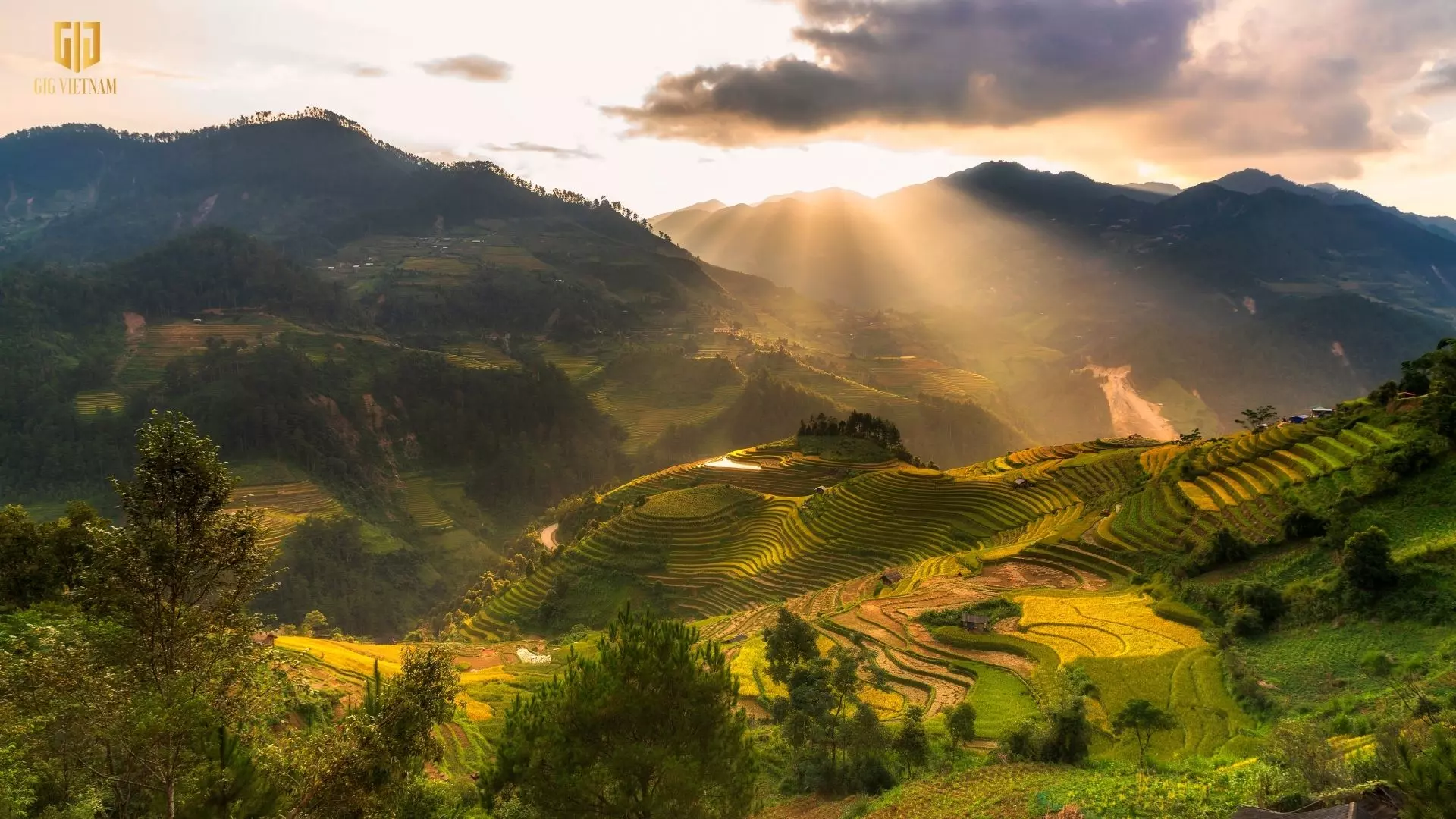 Mù Cang Chải