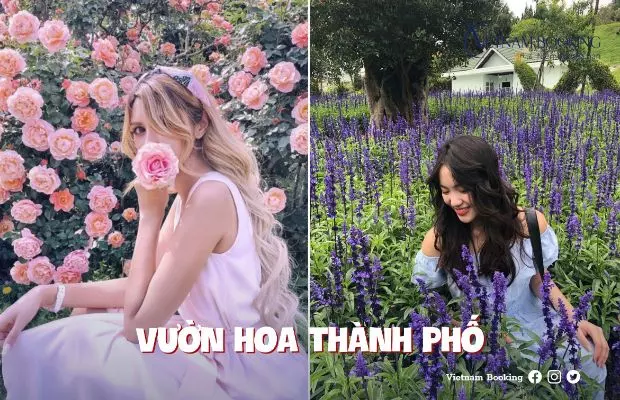 Đắm chìm vào sắc hoa rực rỡ tại vườn hoa thành phố.