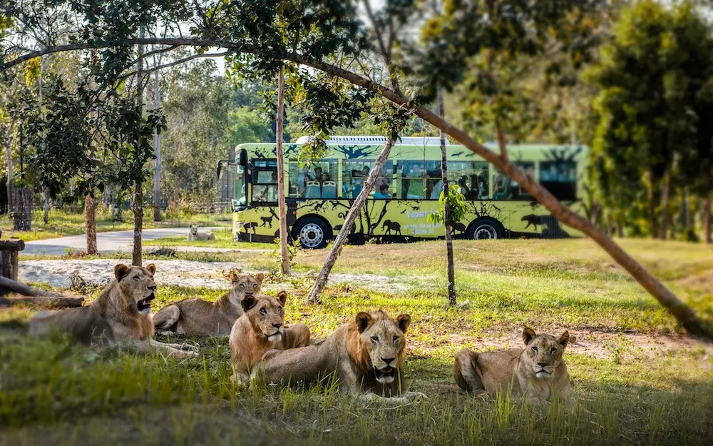 Safari Park Phú Quốc