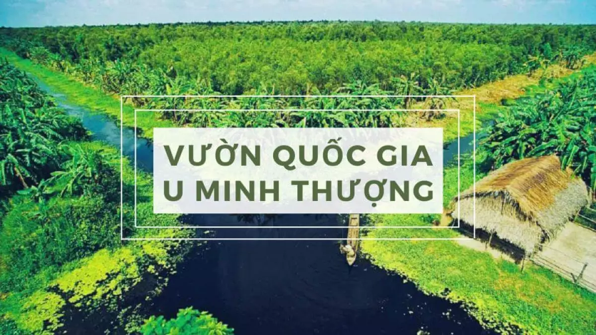 Vườn Quốc Gia U Minh Thượng
