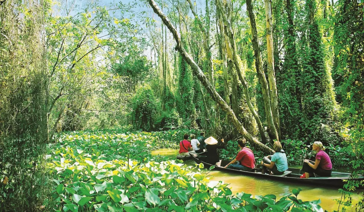 Du khách tham quan khu rừng tràm bằng xuồng