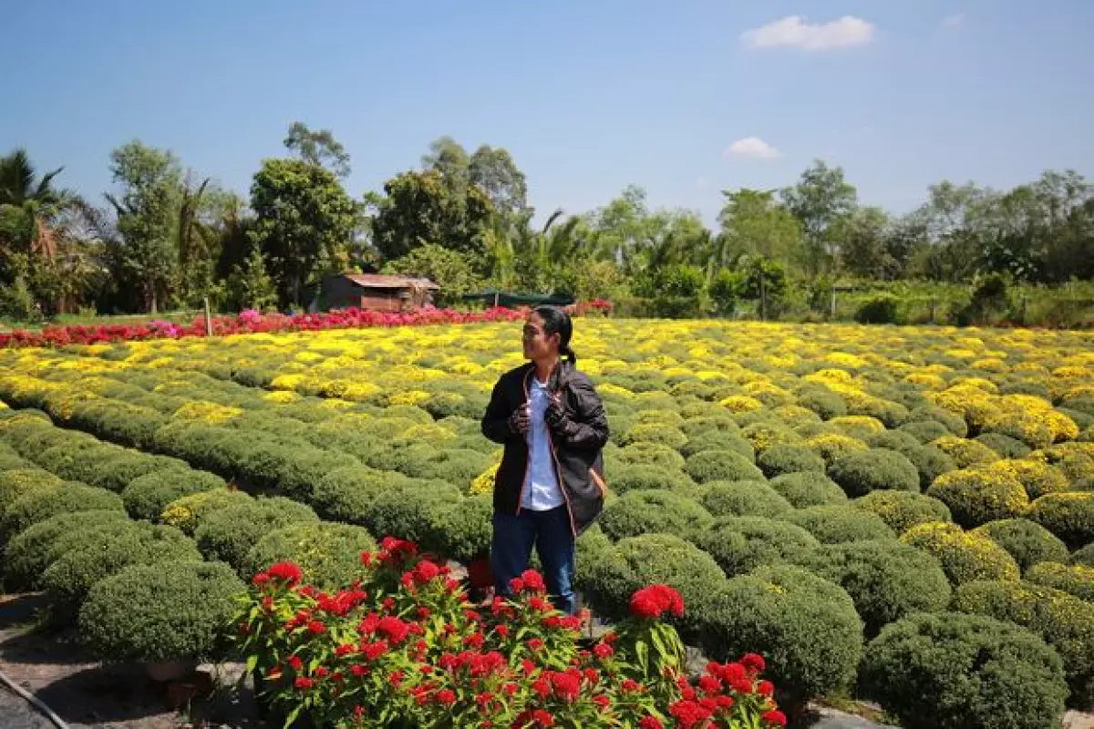 Muốn đi du lịch vào ngày  <a href='https://thienviettour.vn/tien-ich/dem-nguoc-tet-nguyen-dan' title='tết' class='hover-show-link replace-link-3195'>tết<span class='hover-show-content'></span></a>  an toàn thì lưu ý những điều này