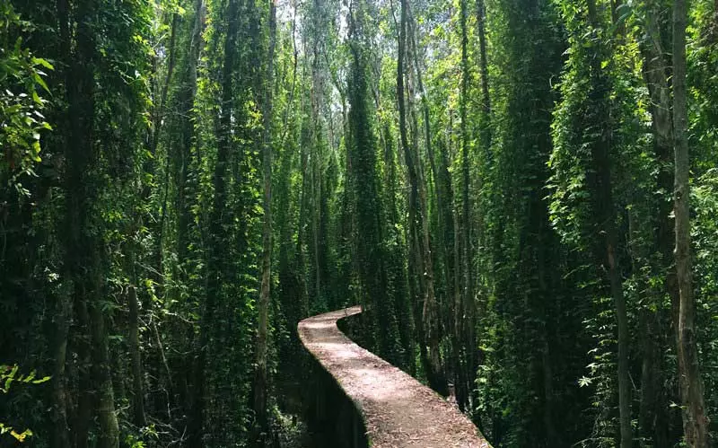 Thông tin về du lịch Làng Nổi Tân Lập