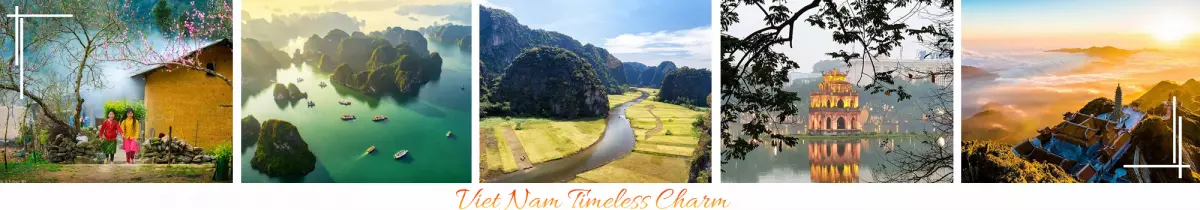 Thiên Việt Tour