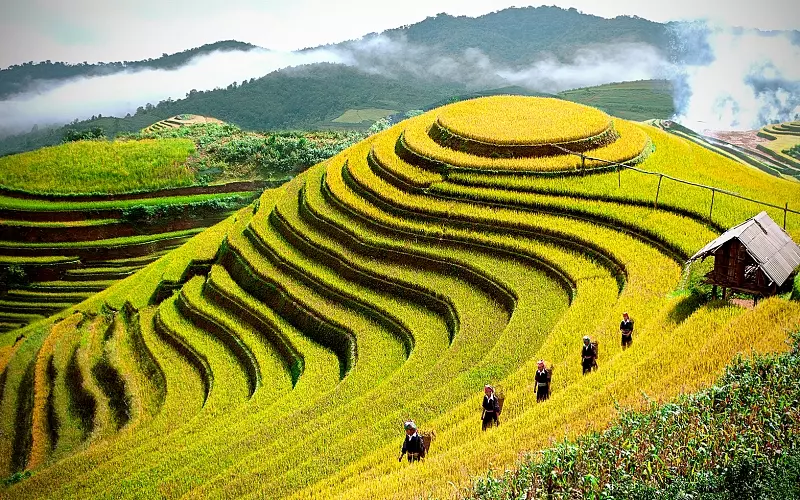 Tháng 9 nên đi du lịch ở đâu? Ngắm nhìn toàn cảnh ruộng bậc thang tại Sapa vào tháng 9