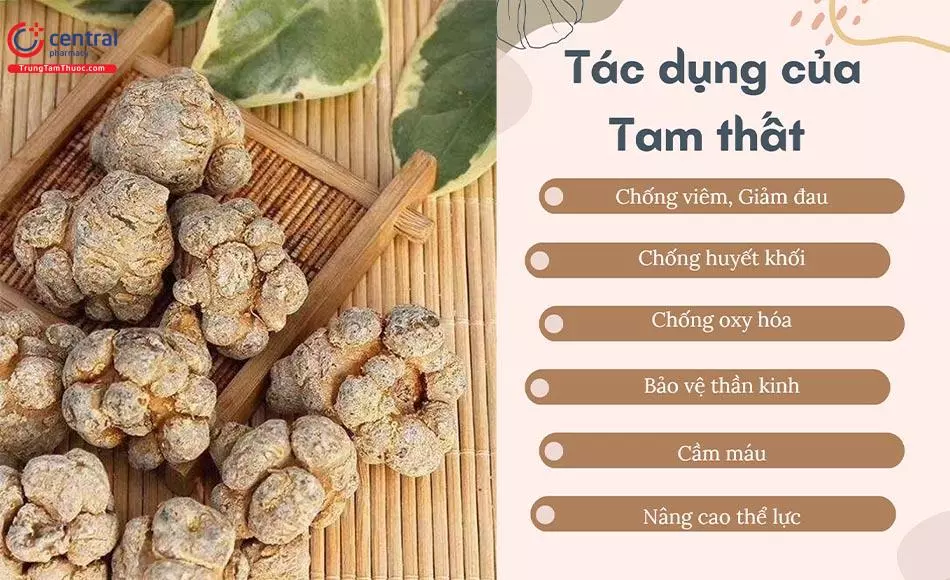 Tác dụng của Tam Thất