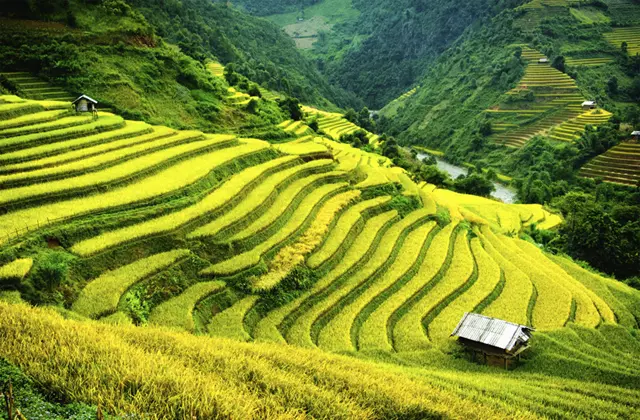 Tour Du Lịch Sapa Lễ Giỗ Tổ - 30/4 - 1/5/2024