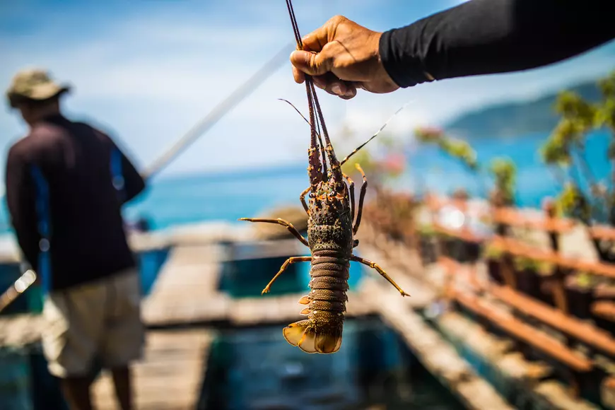 nha trang seafood vietnam tourism