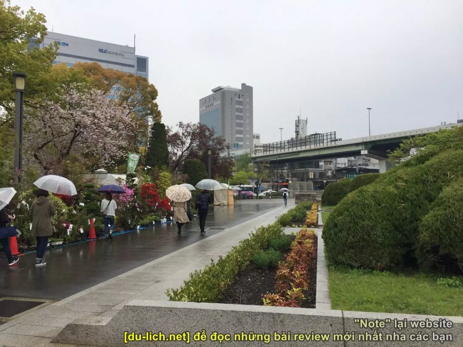 Hình ảnh lâu đài Osaka nhìn từ cây cầu bắc ngang sông