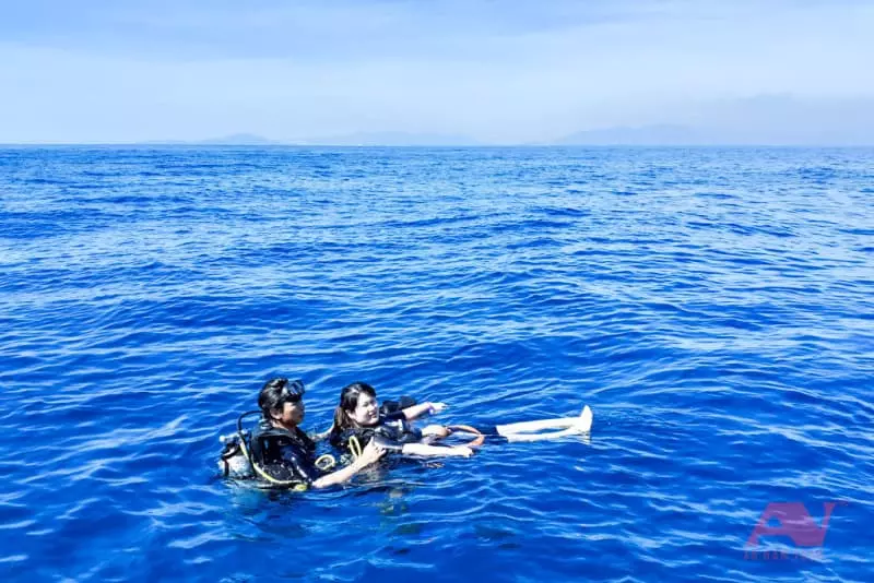 tour lặn ngắm san hô scuba diving Hòn Mun