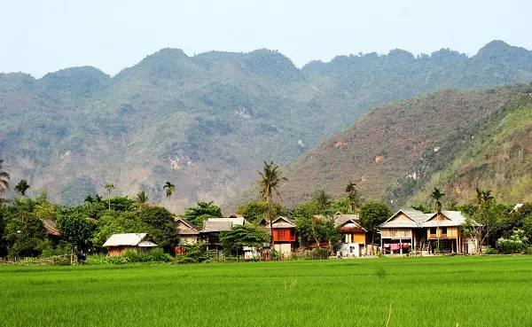 Thung lũng Mai Châu