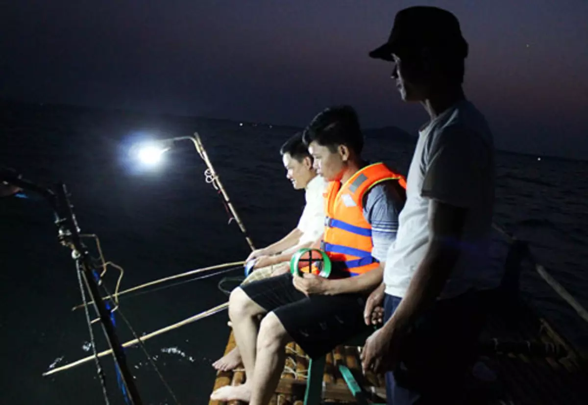 Du khách trải nghiệm câu mực đêm trên biển Đà Nẵng.