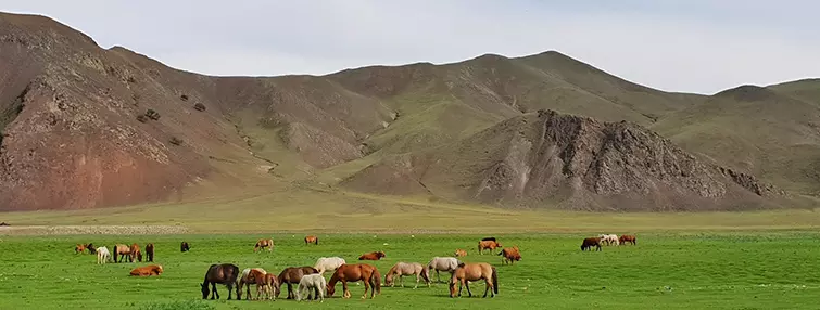 lễ hội Nadaam Mông Cổ