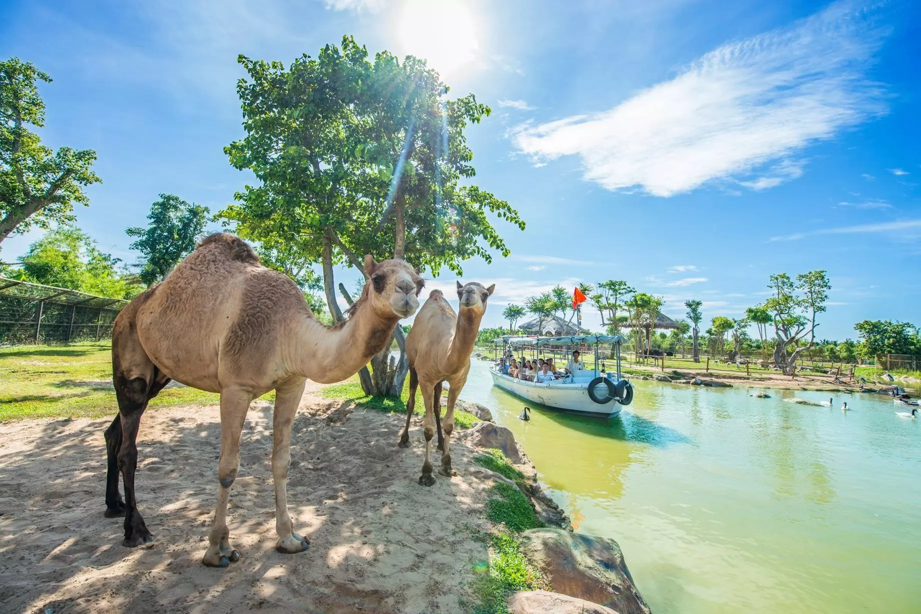 Đảo Văn Hóa Dân Gian