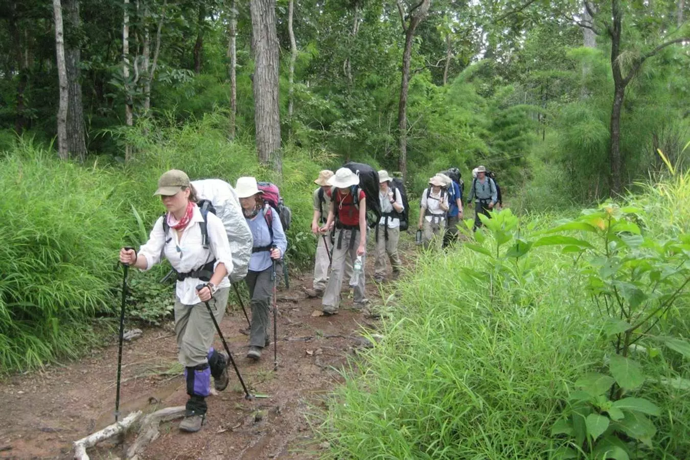 Hòa mình vào hoạt động trekking với sự hấp dẫn của vùng rừng. @yokdonnationalpark