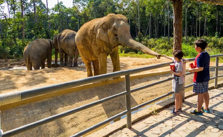 Vinpearl Safari Phú Quốc