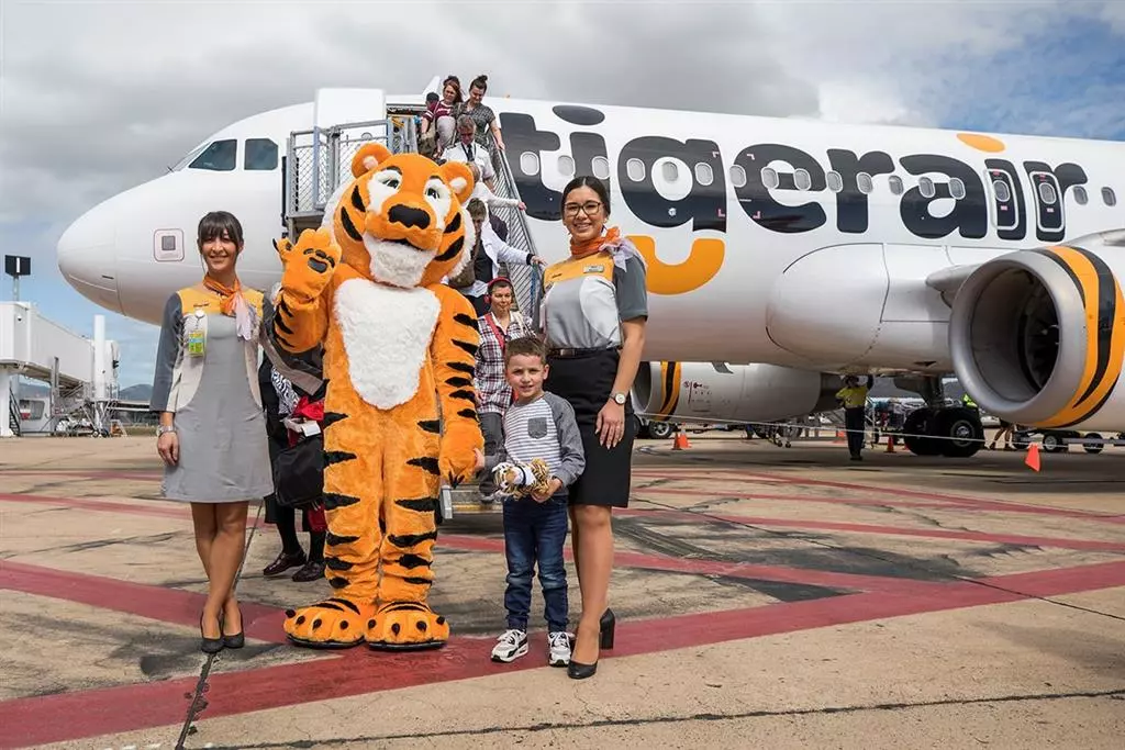 Cùng tìm hiểu quy định hành lý của Tiger Air