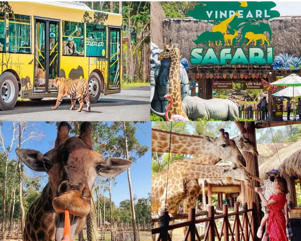 Mô tả khu vực Vườn thú mở Safari Phú Quốc