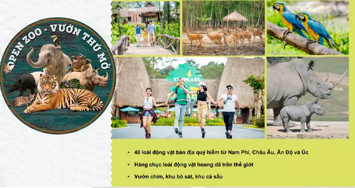 Vườn thú mở - Vinpearl Safari Phú Quốc