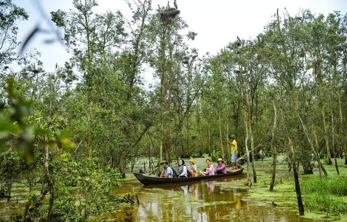 Du khách đi thuyền tham quan Tràm Chim mùa nước nổi