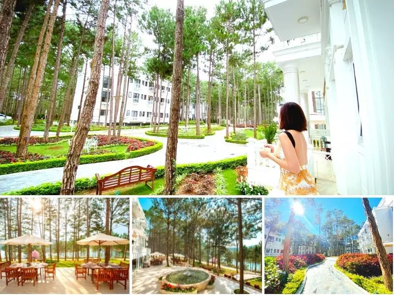 Cereja Hotel & Resort Đà Lạt