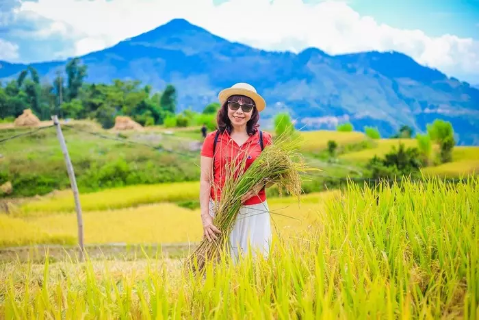 Hoàng Su Phì nổi tiếng với những thửa ruộng bậc thang đẹp như tranh