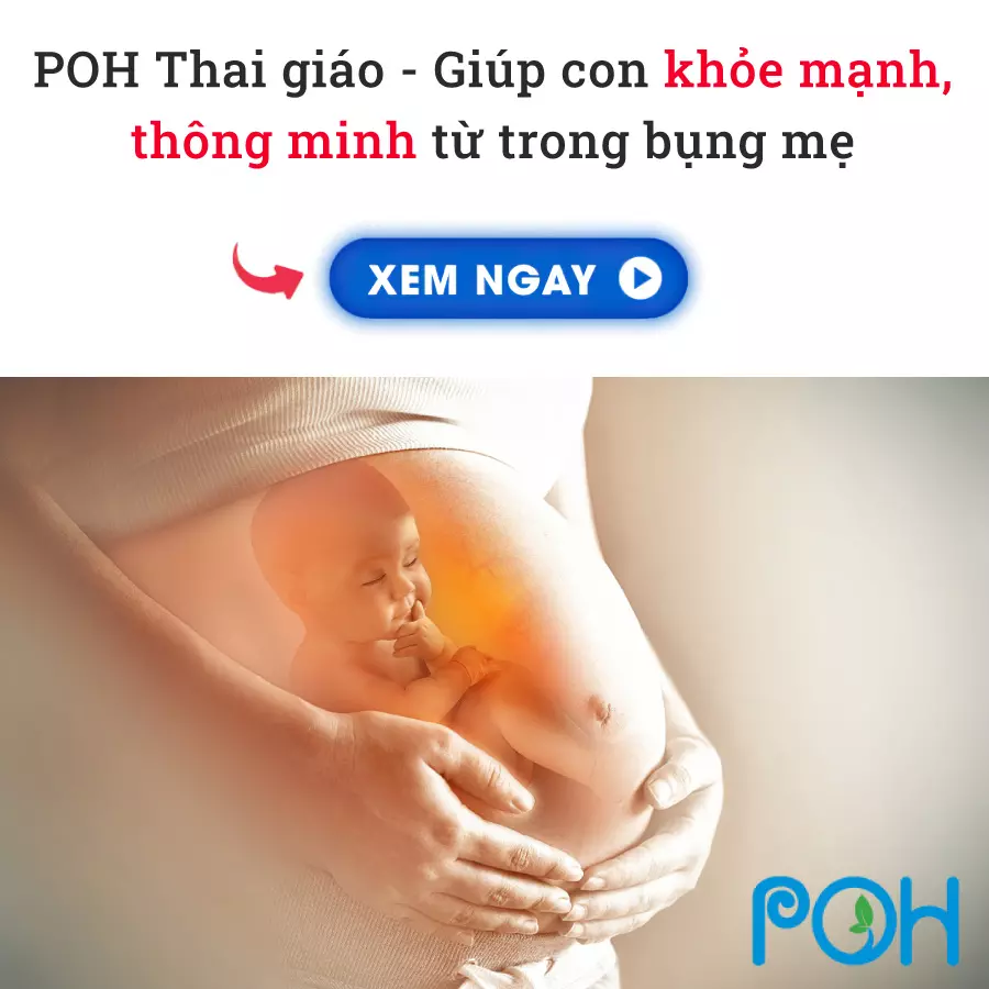 nốt echo là gì