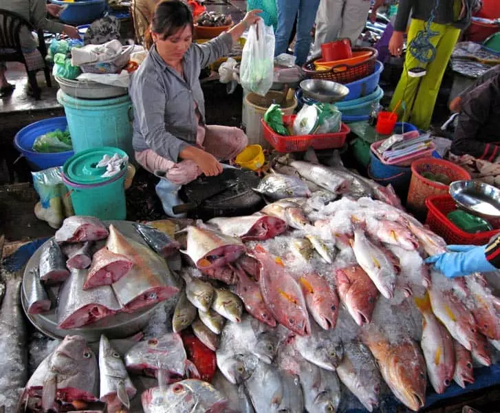 Bảo tàng Cội Nguồn