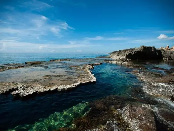 Tour du lịch trong ngày ở Nha Trang