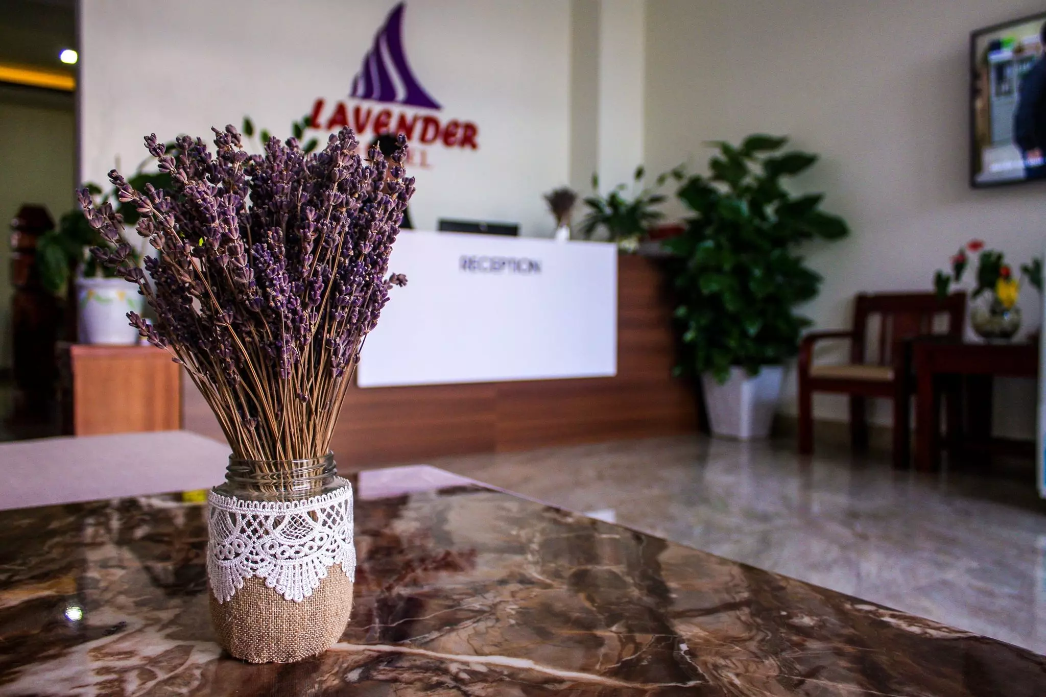 Sãnh Lễ Tân Lavender hotel