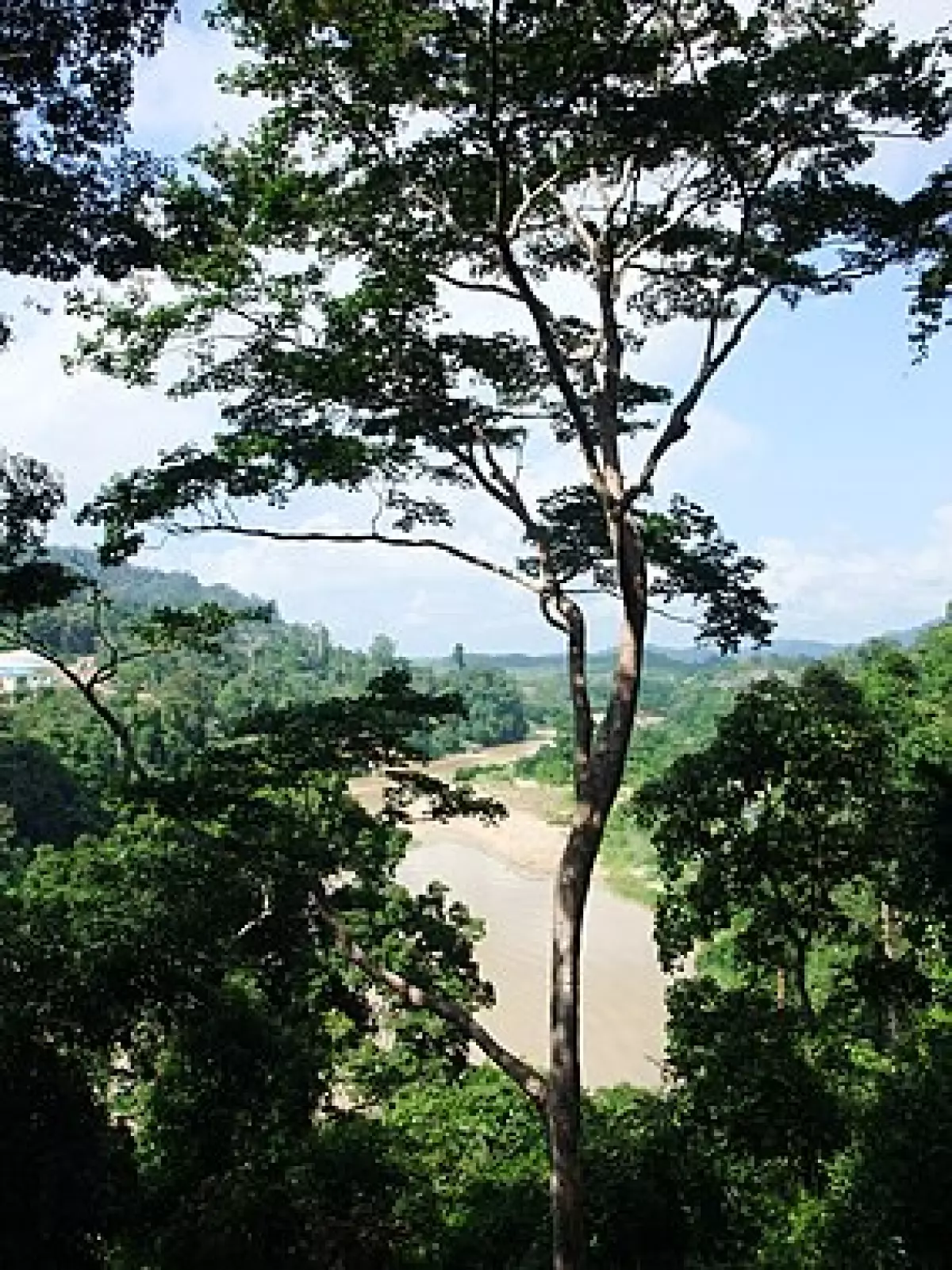 Lối vào Kuala Tahan