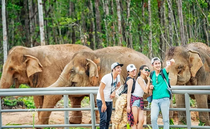 Thả mình trong không gian tự nhiên tại VinPearl Safari