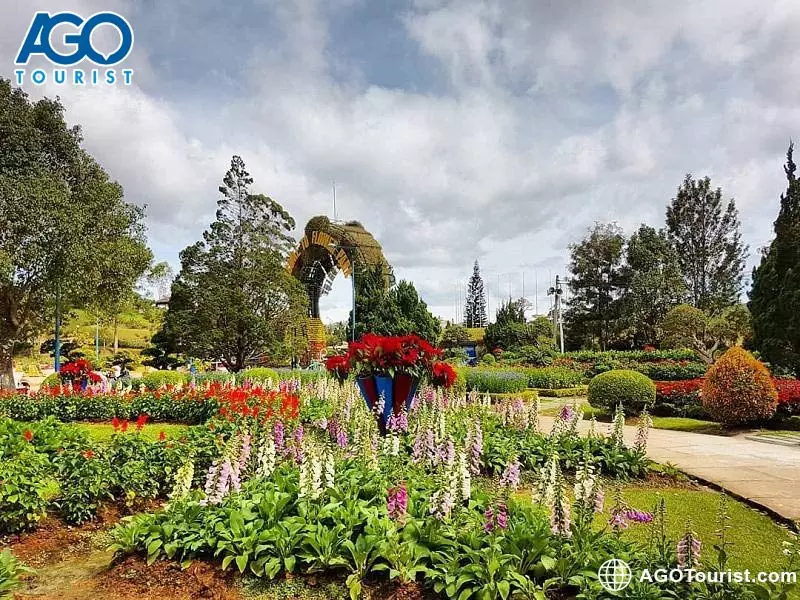Vườn hoa thành phố Đà Lạt một địa điểm du lịch cho những người yêu hoa