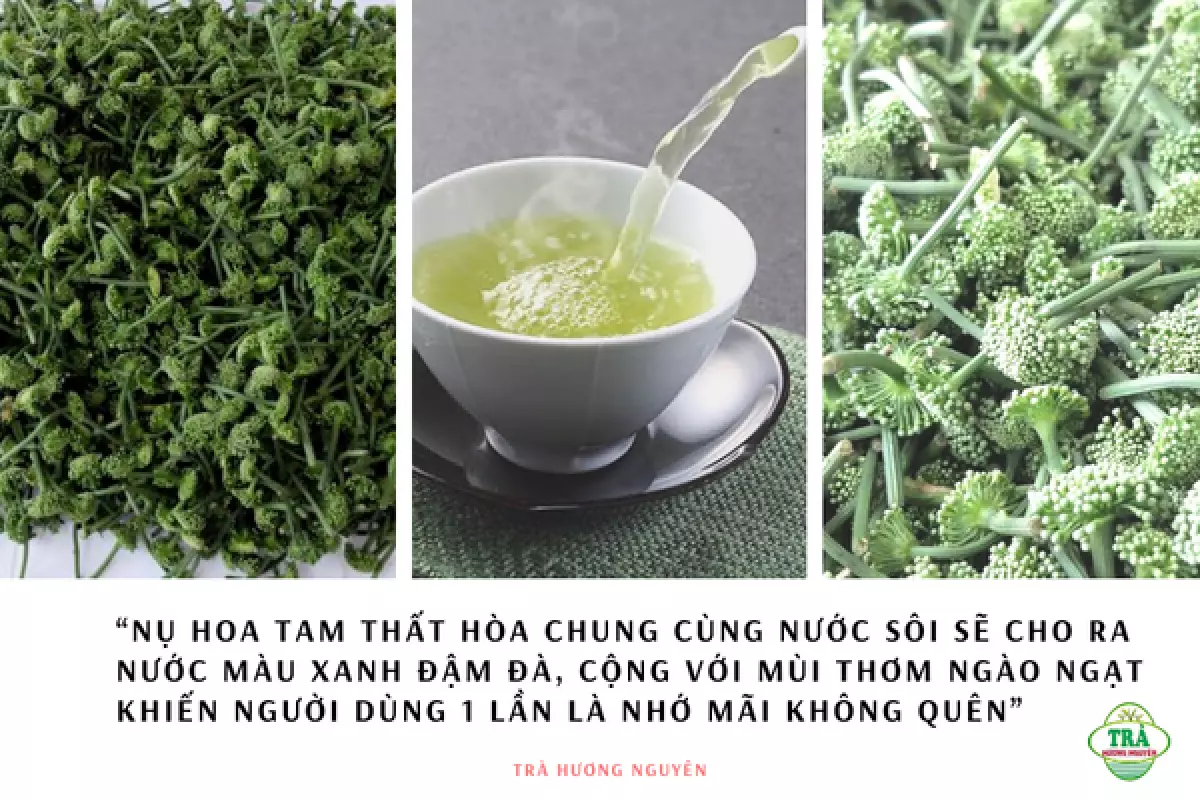 TRÀ NỤ HOA TAM THẤT - CHO SỨC KHỎE VÀNG