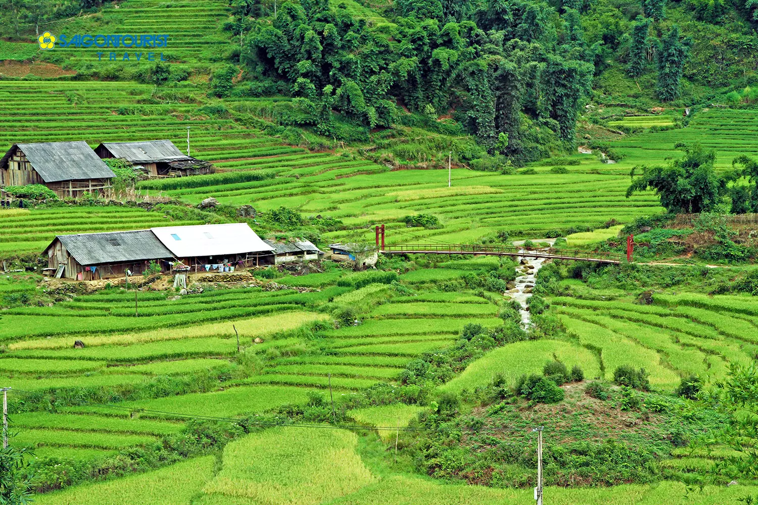 Bản Cát Cát