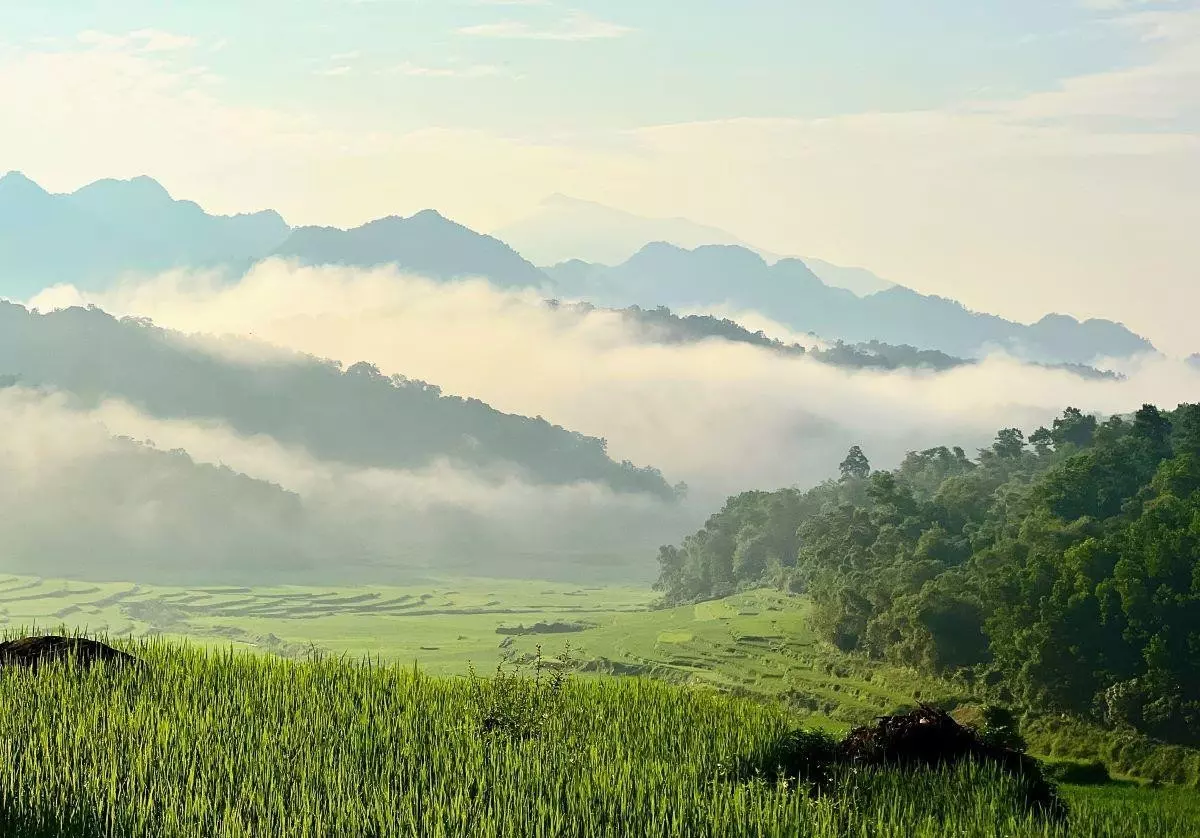 săn mây pù luông