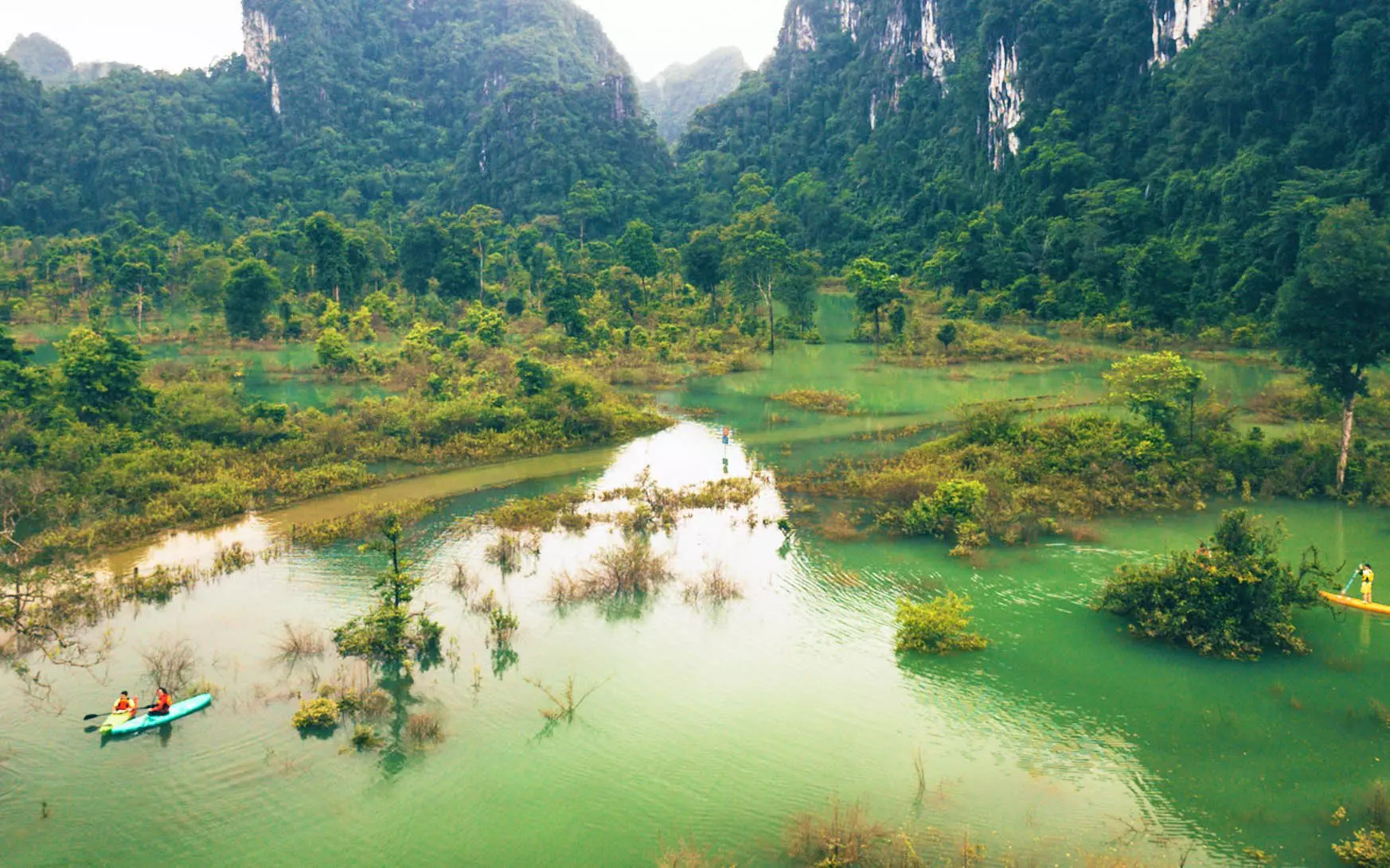 Công Ty Du Lịch Thám Hiểm Phong Nha