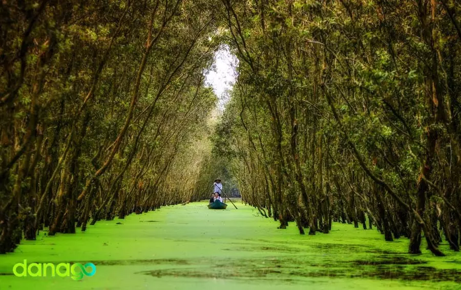 Rừng Tràm Trà Sư, An Giang