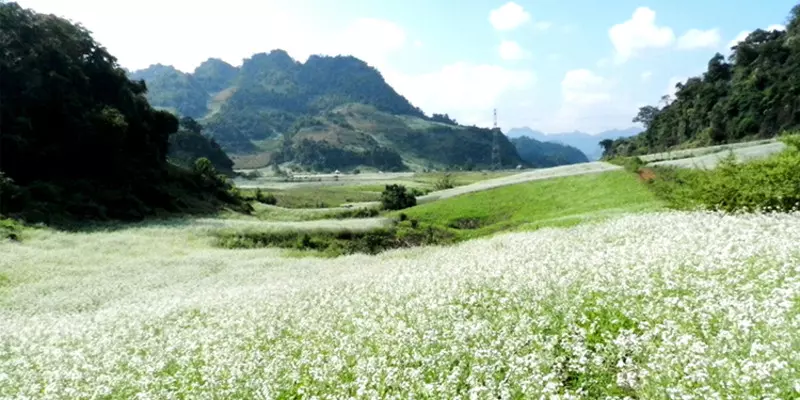 Mộc Châu - Sơn La