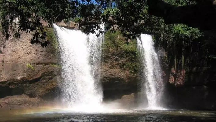 Những chú vượn tinh nghịch