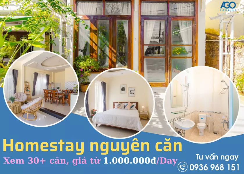 Những căn homestay đẹp ở Đà Lạt cho thuê nguyên căn