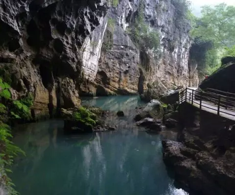 Động Phong Nha