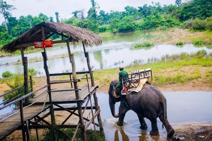 Chòi đợi voi