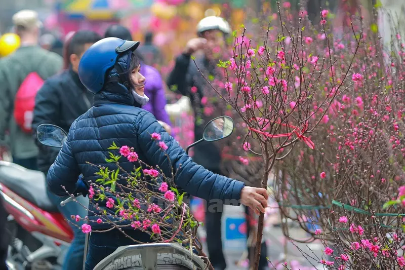 Chợ Tết Hà Nội - Chợ đào Lạc Long Quân