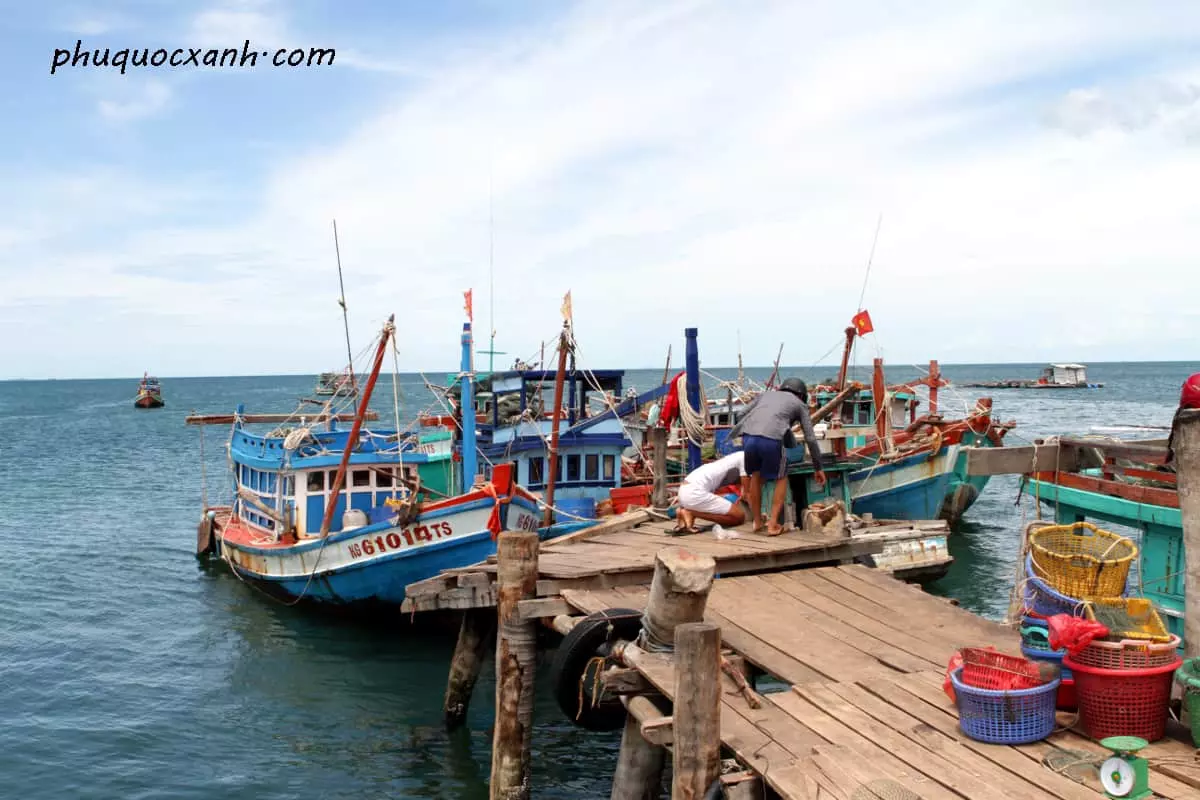 Cơ sở nuôi cấy ngọc trai