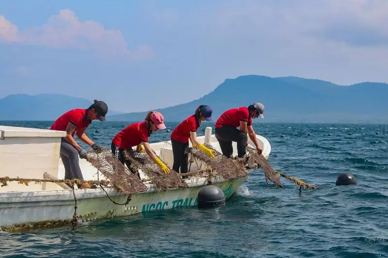 Tour Nam Đảo Phú Quốc