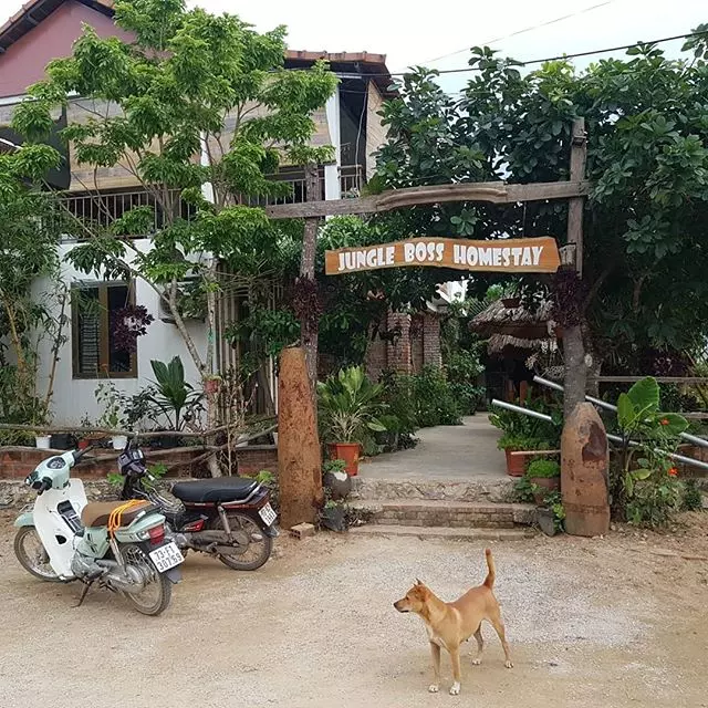 Jungle Boss Homestay