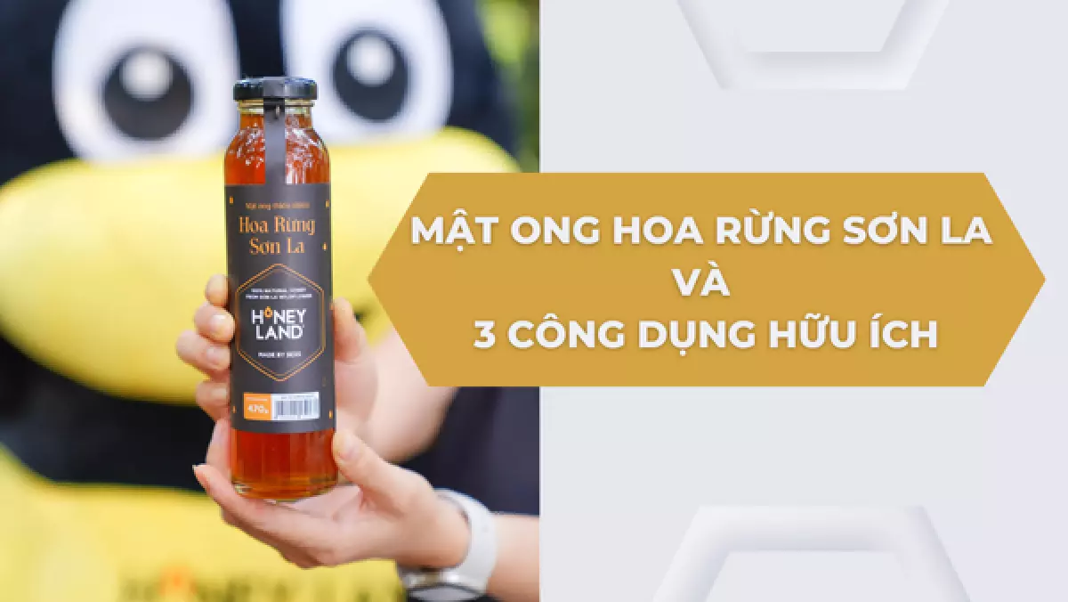 Mật ong hoa rừng Sơn La